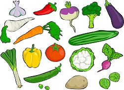 カラフルな野菜