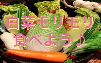白菜と他の野菜